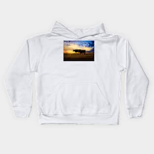 Pair Of Cows At Sunset photograph Kids Hoodie